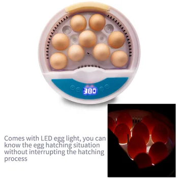

9 Eggs Capacity Chicken Eggs Bird Incubator Egg Rack Tray Automatic Intelligent Control Incubation Tool