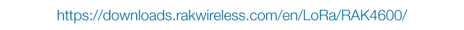 RAK4600-H_06