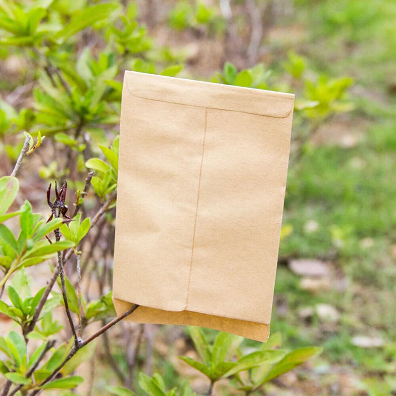 100pcs Kraft Paper Brown Seed Bags Isolation Sack Seed Packaging/Protective Vertical Envelope Style