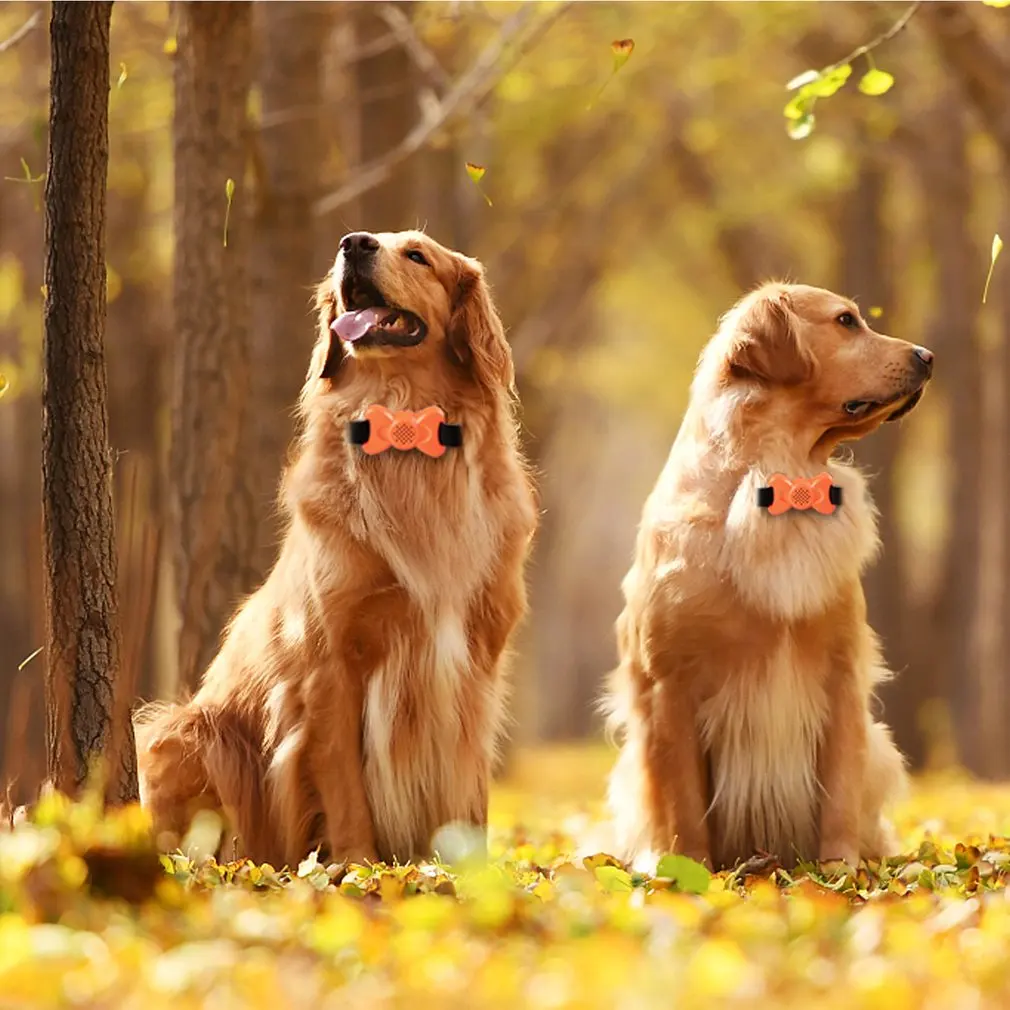 ABS Bowknot Shaped Voice Barking Dogs Training Collar Bark Stopper with Customized Audio Commands& Nylon Strap