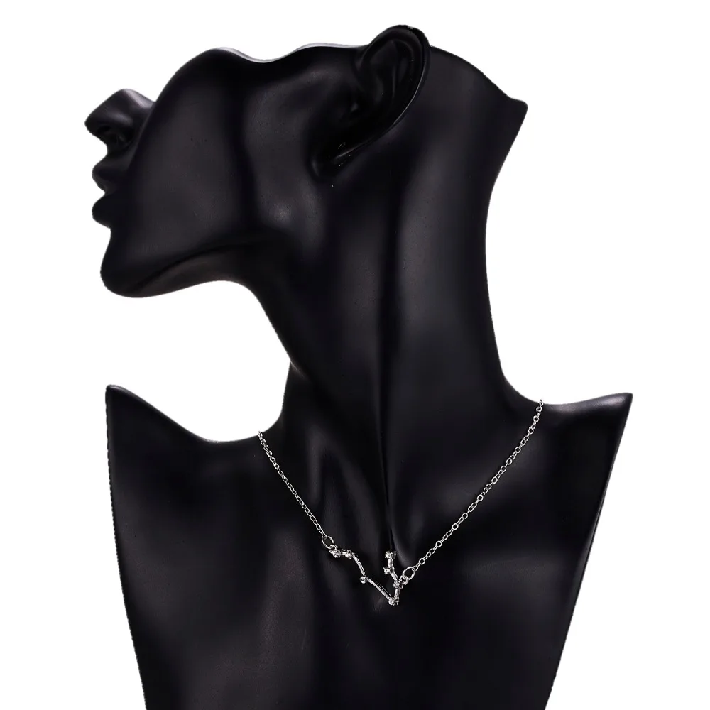 Rinhoo-Trendy-Shiny-Crystal-Star-Zodiac-Sign-12-Constellation-Pendent-Necklaces-Female-Elegant-Silver-Choker-Necklaces (2)