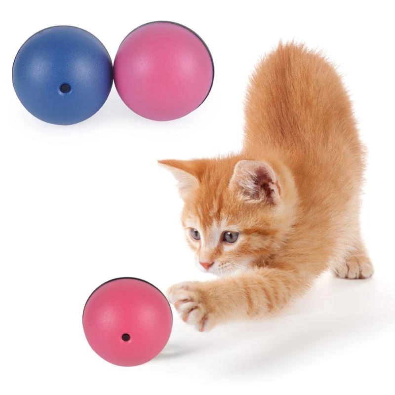 magic ball cat toy