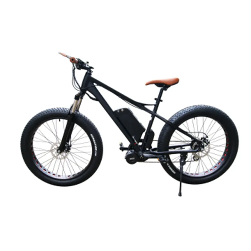 Fr26a 500w750w1000w 48v Cheap Electric Fatbike Snow Electric Bicycle