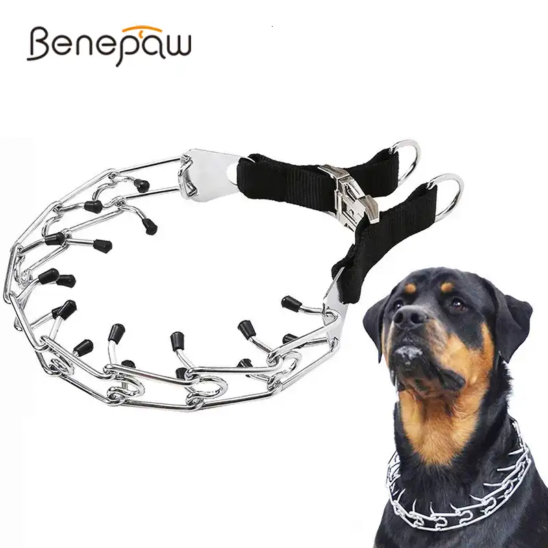 large prong collar