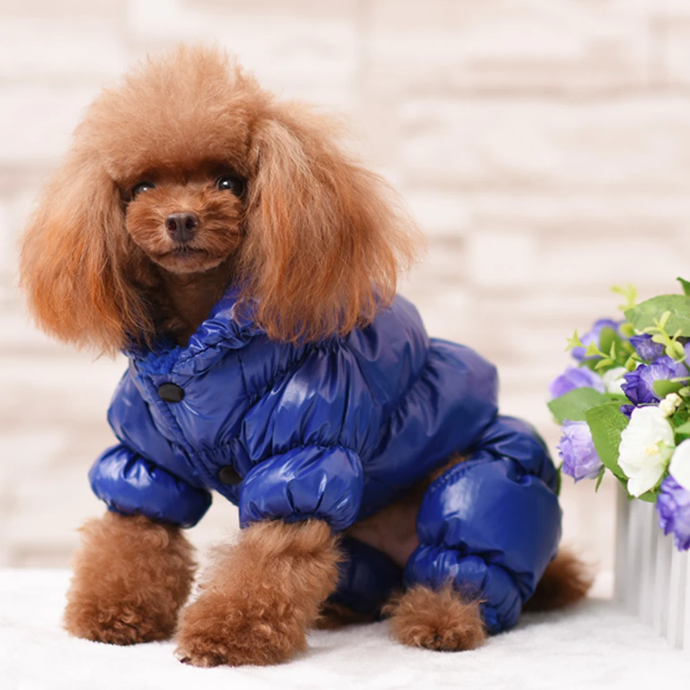 Зимняя куртка для собак, водонепроницаемые куртки для собак, теплая одежда для маленьких и средних животных, для собачек-Мопсов, чихуахуа, Ropa Para Perros, французский Бульдог