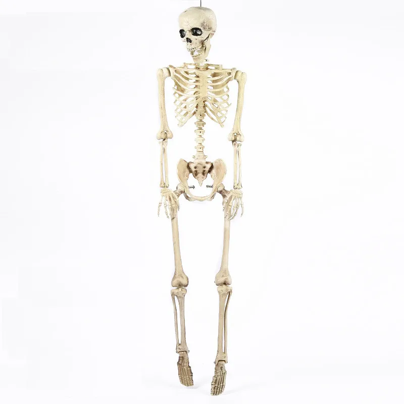 11910627336_2098354695