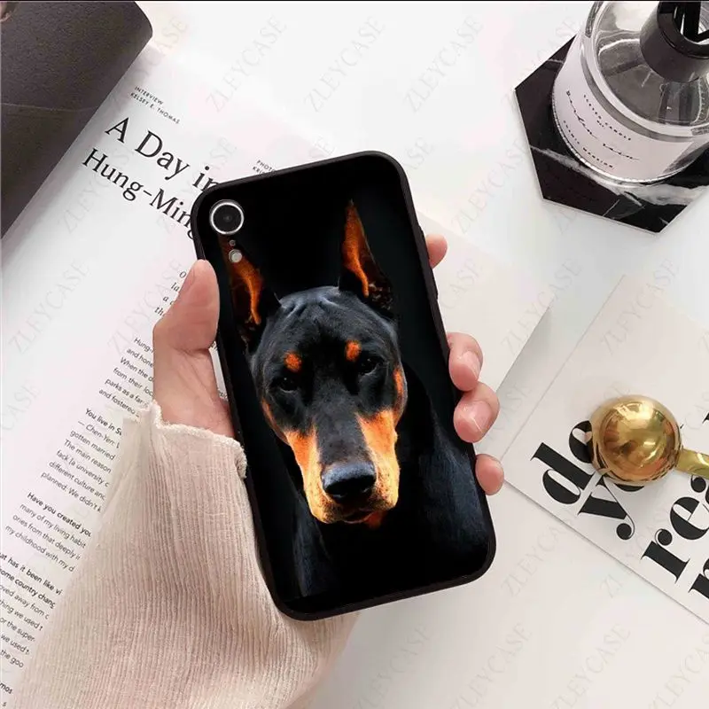 black Dachshund Doberman Dog face