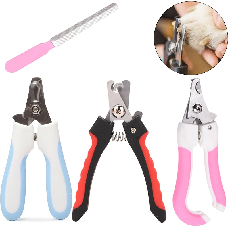 One Nail Clipper Pliers Style Two Stock Photo 378207556 | Shutterstock