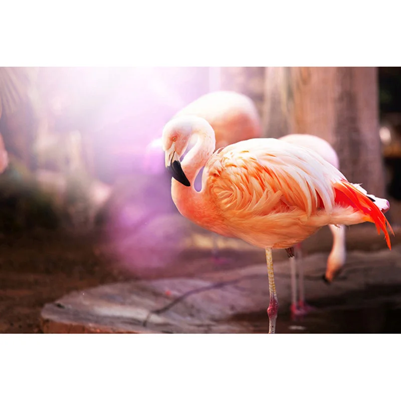

Diamond Painting Flamingo Diamond Embroidery Cross Stitch Full Round Kit 5D DIY Art Mosaic Rhinestone Home Decor Handmade Gifts