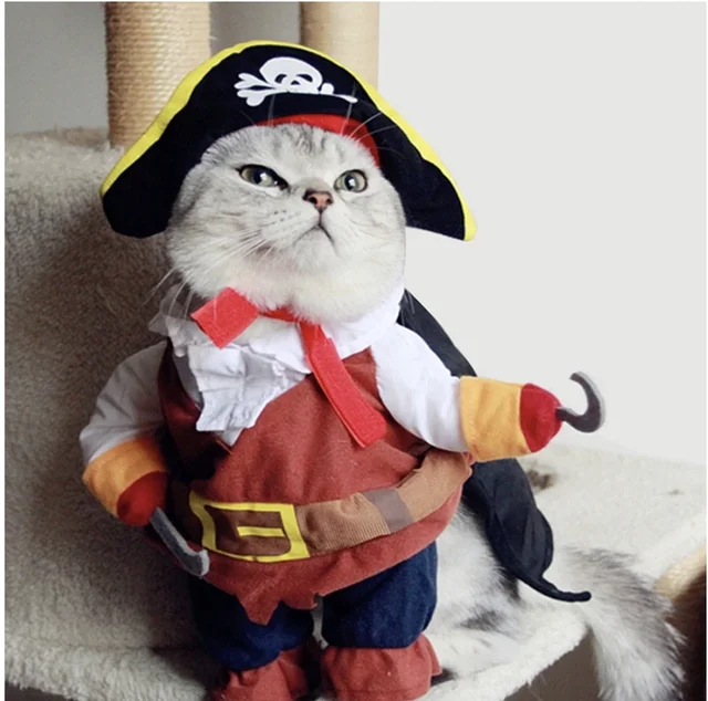 Funny Cat Pirate Costume 2