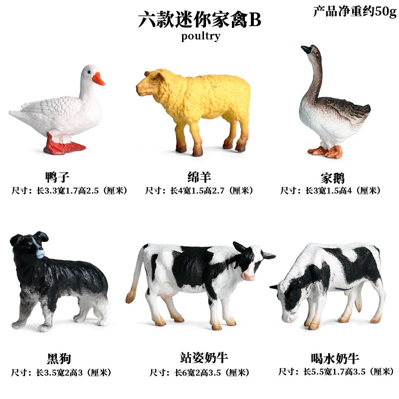 12658324166_1464955482