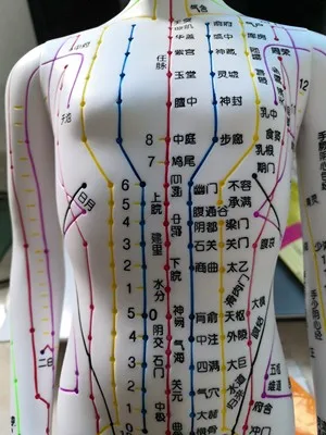 O1CN01KdN19i1WdTxyjvGcZ_!!0-rate.jpg_400x400