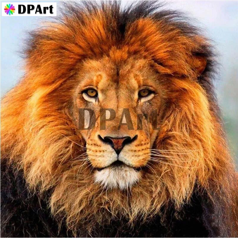 

Daimond Painting Full Square/Round Drill Lion 5D Diamond Rhinestone Embroidery Painting Cross Stitch Kit Mosaic Picture M253