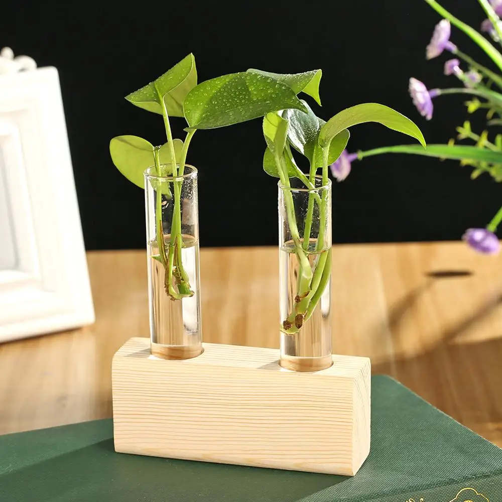 Гидропонная фотография Terrarium винтажный цветочный горшок прозрачная деревянная