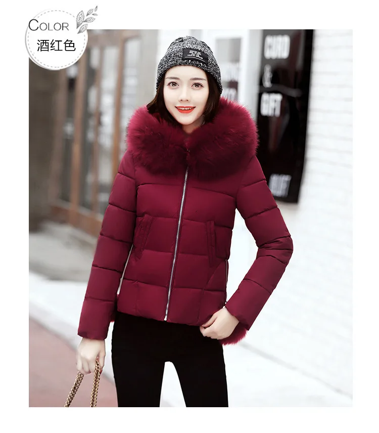 8996855983_1006637240