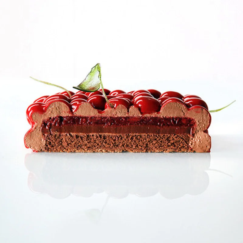 New Double Layer Cherry Mousse Cake Baking Mold French Dessert Cake Mold New Double Layer Cherry Mousse Cake Baking Mold French Dessert Cake Mold