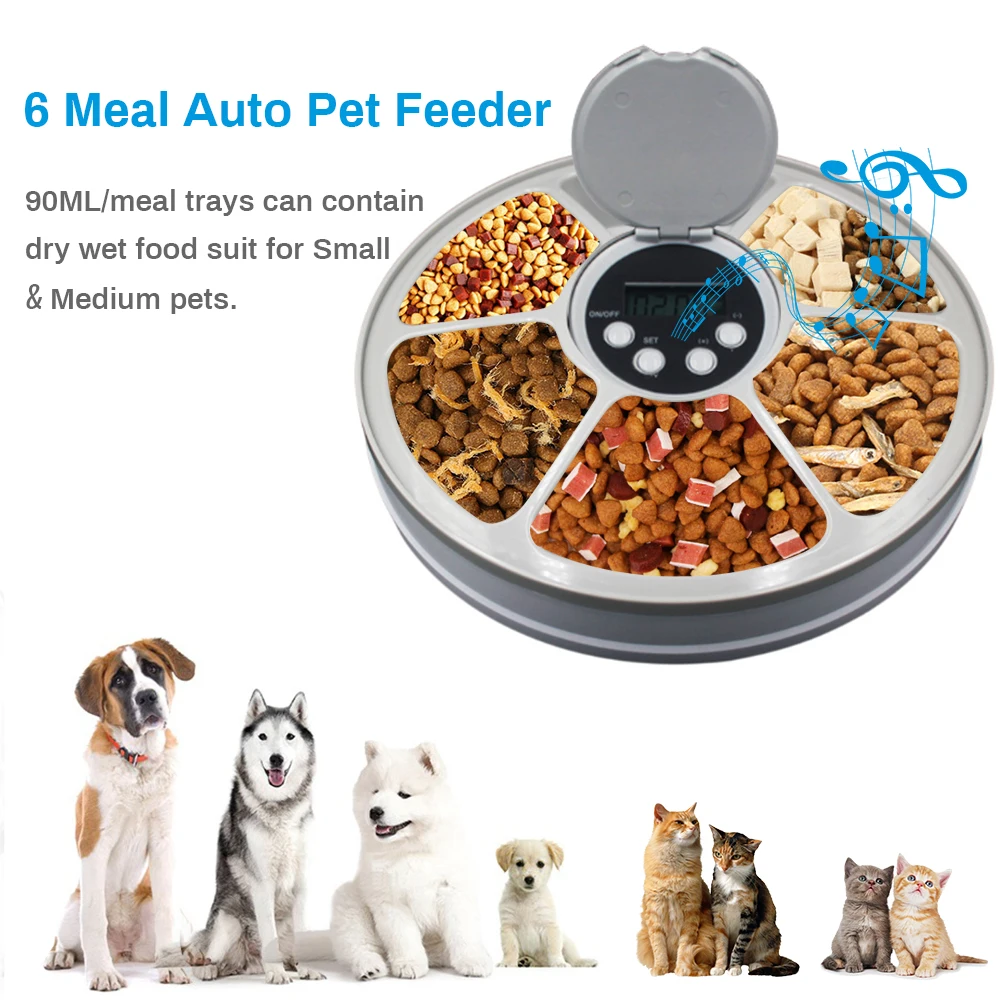 

Pet Dog Cat Bowl Feeder Bath Pets Accessories Pet Supplies 6 Grids Multi-meal Automatic Play Music Feeders Bowls For Dogs Cats