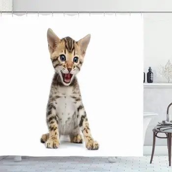 

Shower Curtain for Bathroom 72x72 Newborn Meow Mewborn Kitty Nobody Bengal Breed Whiskers Meowing Isolated Animals Wildlife