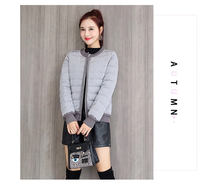 Versitile Fashion Loose Comfortable Elastic Band Hem Winter Long Sleeve Short down Jacket Zipper