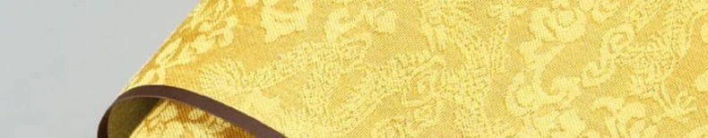 Tintefreies Wasserschreibtuch-Kopierbuch, kleine normale Schrift, chinesische Klassiker, Schreibtuch, Brokatimitation, Reispapierrolle – Detail 20
