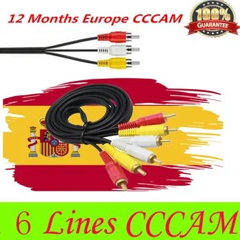 

Fast and Stable 1Year CCcam for Europe Satellite tv Receiver 6lines WIFI FULL HD DVB-S2 Support Europe Spain cline cccam Server