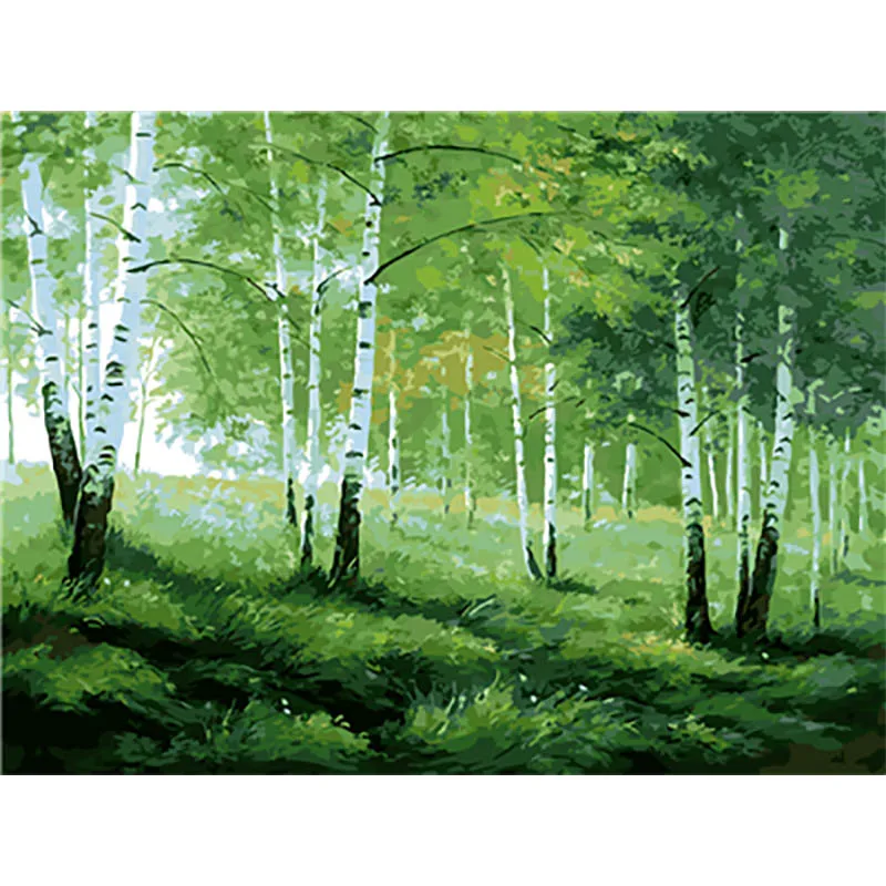 painting by number10 Пейзаж, Живопись по номерам, краски по номерам для взрослых, сделай сам, Раскраска по номерам, масляные, номерные картины, велосипед - Цвет: painting by number10