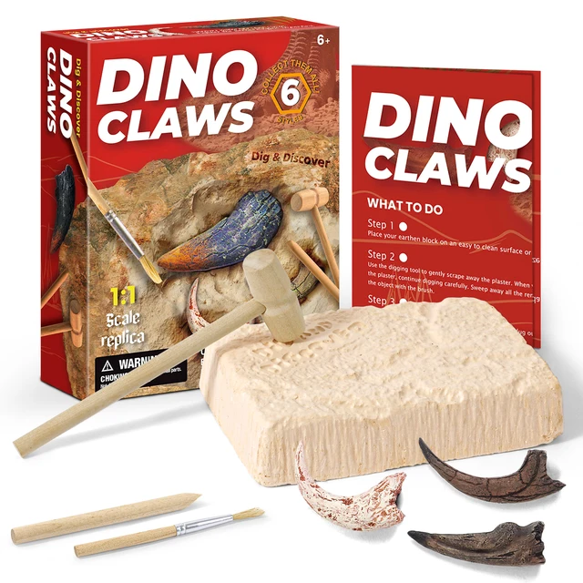 Dinosaur Claw & Tooth Fossils Dinosaur Teeth Fossils Excavation Kit  Digging Dinosaur Archeology Kit For Kids Dino Dig Kit Toy 3