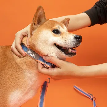 

Dog Pinch Collars and Leash Set Nylon Adjustable for Small Medium Large Pet Dogs Anti-bite Reinforced Iron Chain High Quality