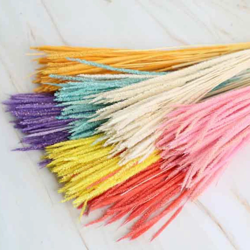 14635296867_1195275136