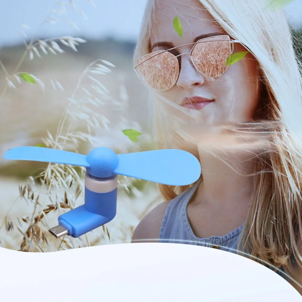 DQ367303-C-20190431-1