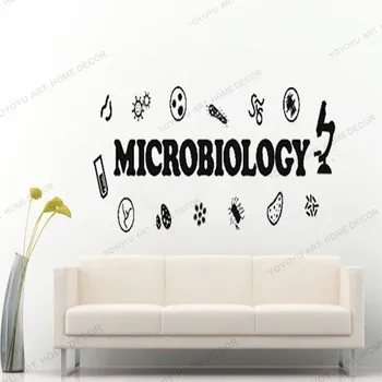 

Microbiology wall decal microbiology decor classroom wall decal science wall art Wall Stickers Creative yw-250