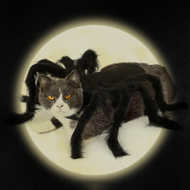 Костюм Собаки-паука на Хэллоуин, костюмы для животных-паука, одежда, пушистые паучьи ноги