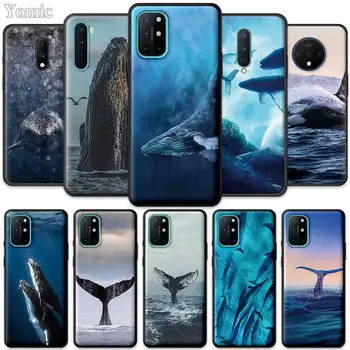 買取 黒ソフトカバーoneplus 8 Nord N10 N100 7 8t 7tプロ5グラムzシリコーンケース海クジラサメ水泳8Por 7Pro電話シェル