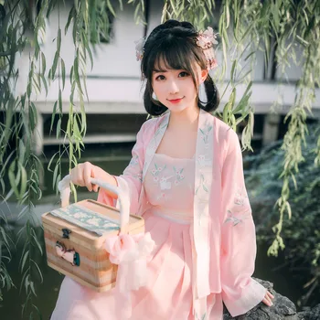 

New Hanfu Costume Chinese Traditional Adult Women Daily Hanfu Chinese Ancient Folk Dance Performance Clothes Pink Hanfu DQL1678