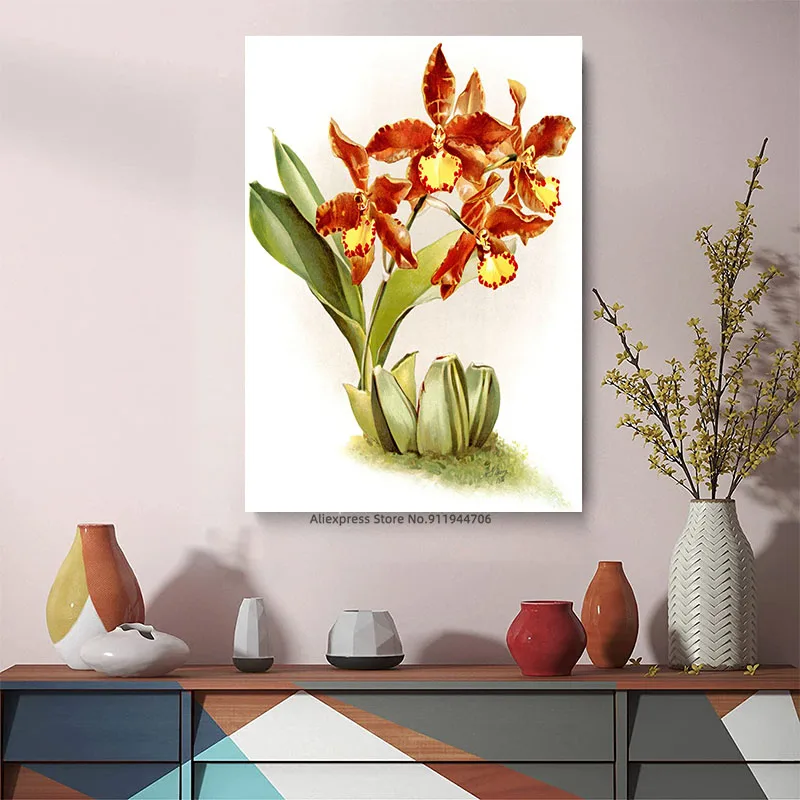 Красная Орхидея Постер Odontoglossum холст живопись плакаты принты Настенная картина