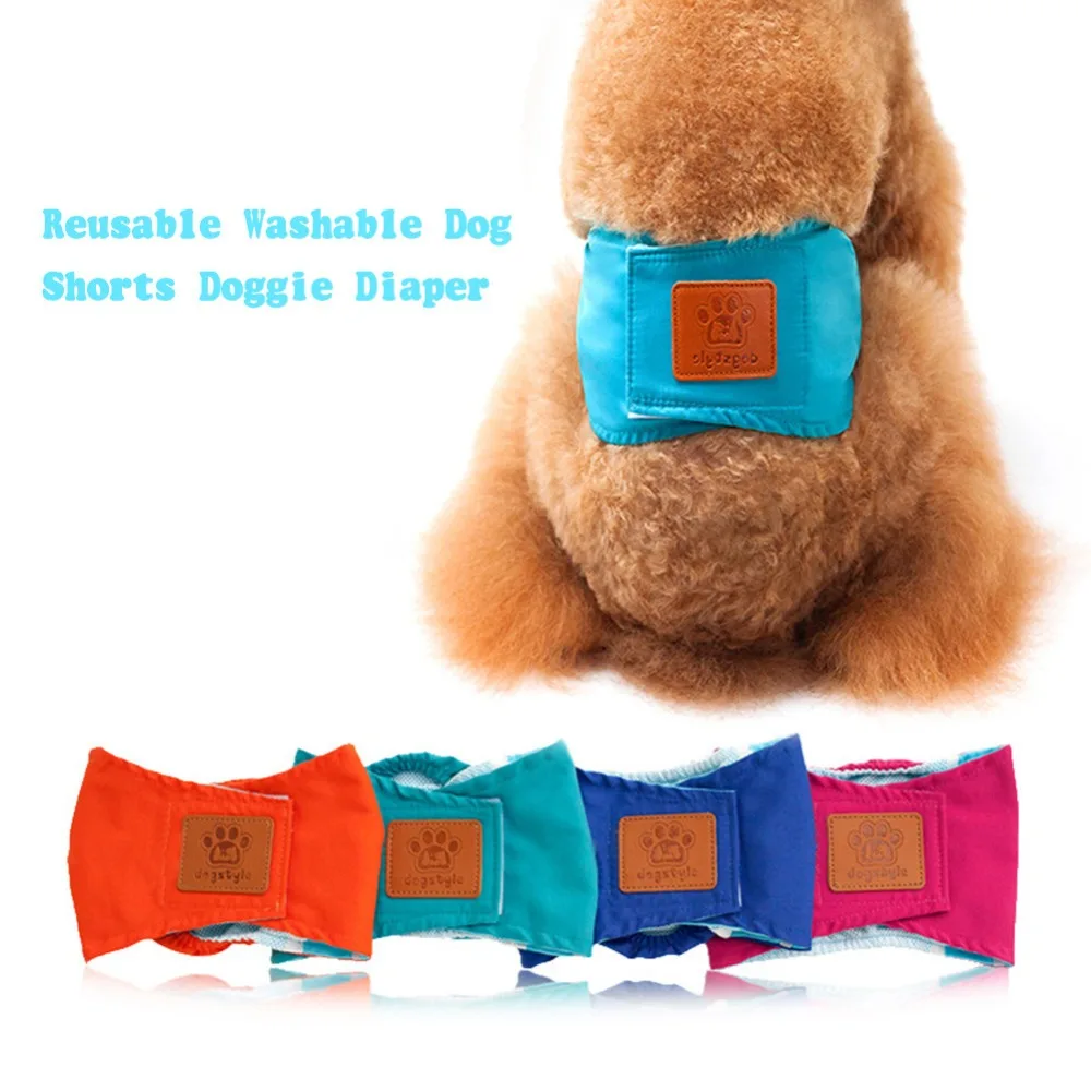 308654_no-logo_308654-1-01-g