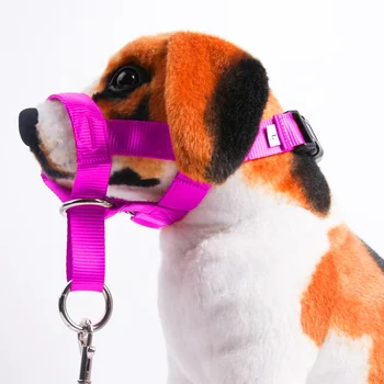 

Safe Available Nylon Martingale Dog Collar SET