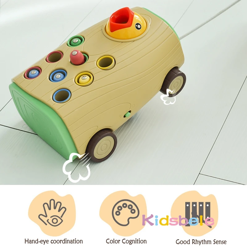 Pica-pau Brinquedo - Pegar E Alimentar Pica-Pau Jogo - minhoca magnética,  brinquedos Montessori para bebês, brinquedo pica-pau com fome, brinquedos  educativos, presentes para crianças Hoghaki : : Brinquedos e  Jogos