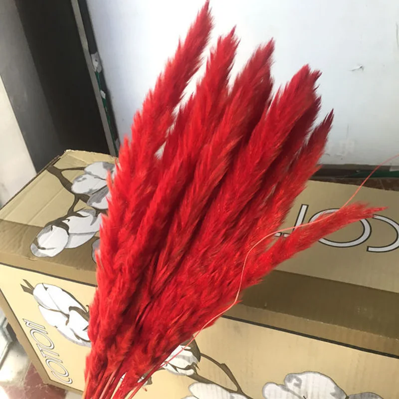 3630612955_61185214.640x640