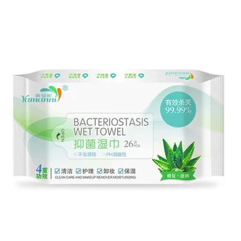 

Hand Sanitizing Wet Wipes Hands Wet Wipes Disinfecting Portable Travel Supplies New Hot Sales