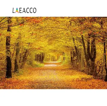 

Laeacco Autumn Forest Tree Backdrops For Photography Maples Yellow Fallen Leaves Scenic Photographic Backgrounds Photo Studio