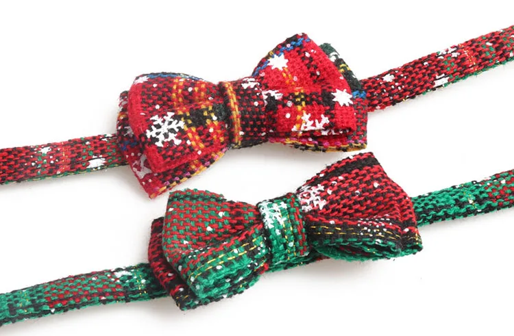 11302819403_307791824副本