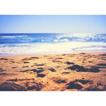 

Vinyl Custom Photography Backdrops Beach Theme Photography Background RY20721-07