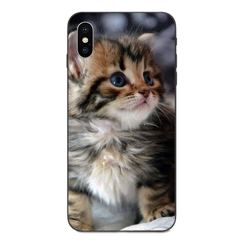 as picture Для Xiaomi Redmi Note 3 3S 4 4A 4X5 5A 6 6A 7 7A K20 Plus Pro S2 Y2 Y3 ТПУ чехол с рисунком маленького котенка Милая кошка - Цвет: as picture