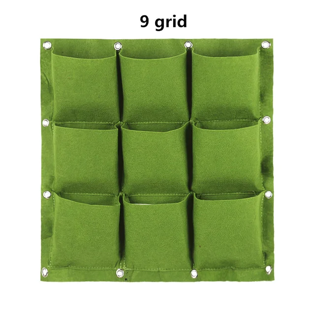 Image 11