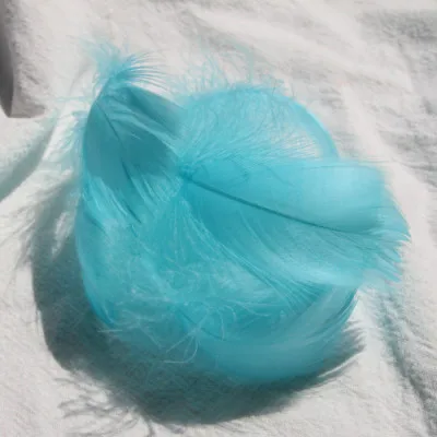 Peacock blue 100pcs