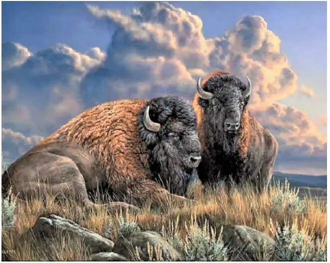 5D DIY pintura diamante do Point da cruz de Diamante Pintura ваш пастообразный bison padrão украшение для дома |