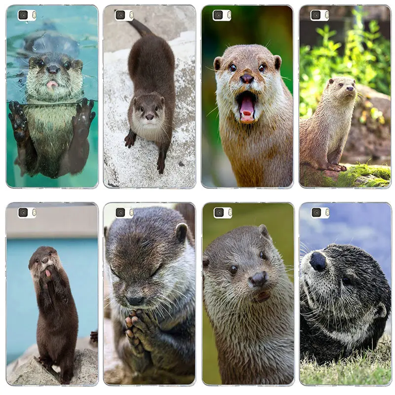 Мягкие чехлы для телефонов huawei P8 P9 P10 P20 P30 Lite mate 10 Pro Y3 Y5 Y6 II Y7 Honor 6X7X9 Plus Cute Otter Muzzle Tongue