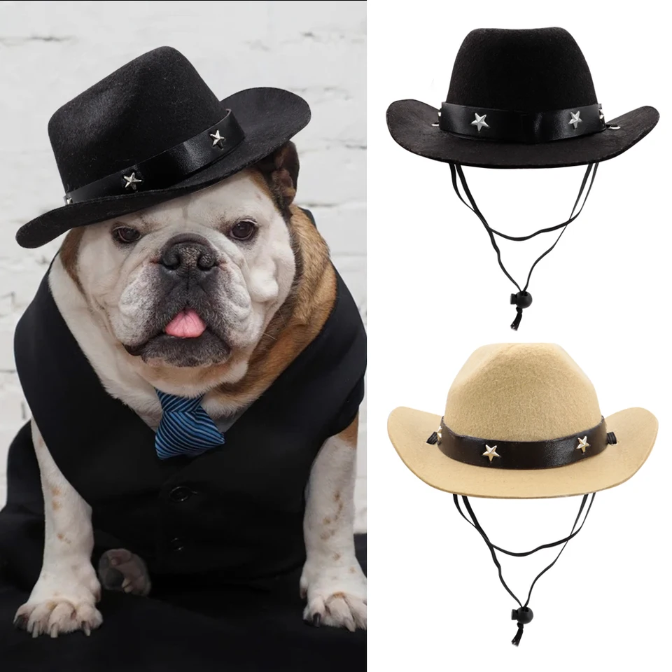 cowboy hat on dog