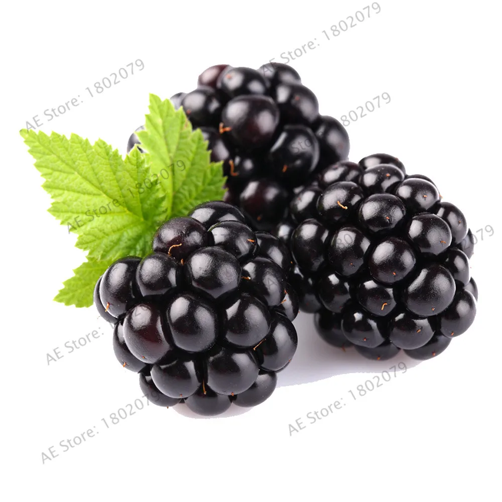 Большая Акция! 200Heirloom Blackberry бонсай Сладкая черная ягода гигантская ежевика Тройная Корона Blackberry Черный тутовидный сад